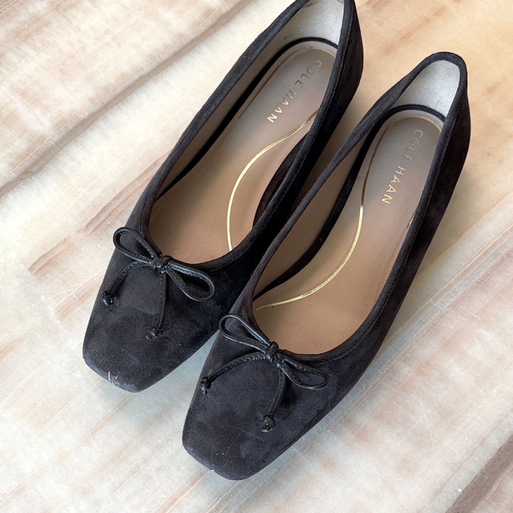 Cole Haan Women's Brown Suede ballet flats